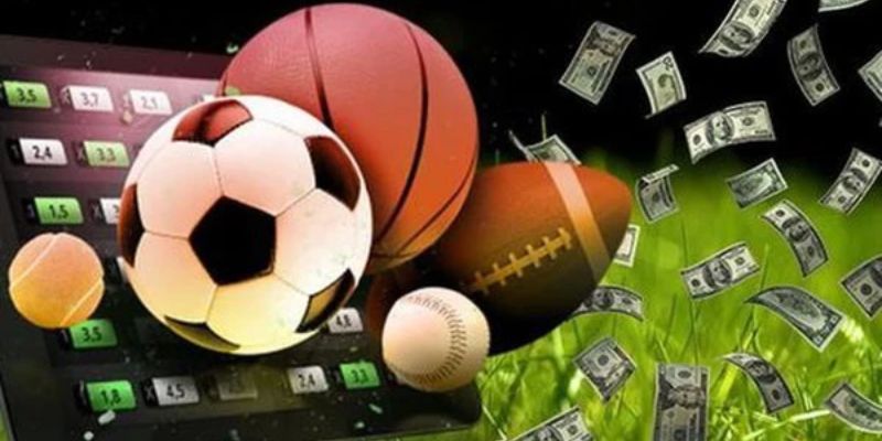 Tham khảo cách tham gia cá cược thể thao 8Xbet